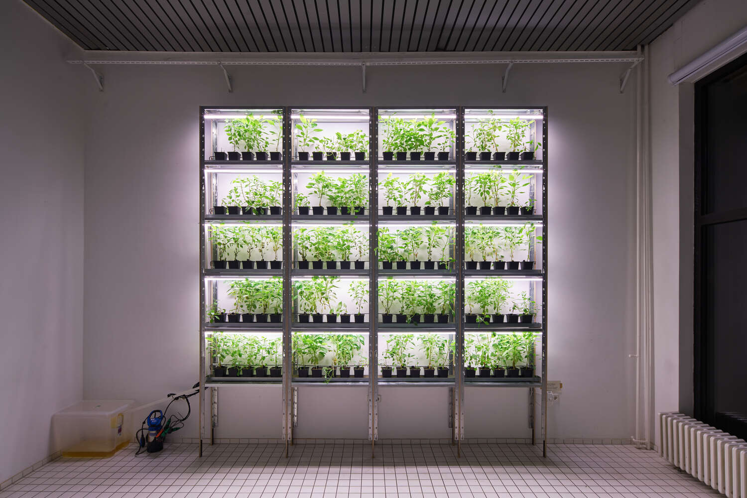 Flowertokens at Trust, www.trust.support (2018)