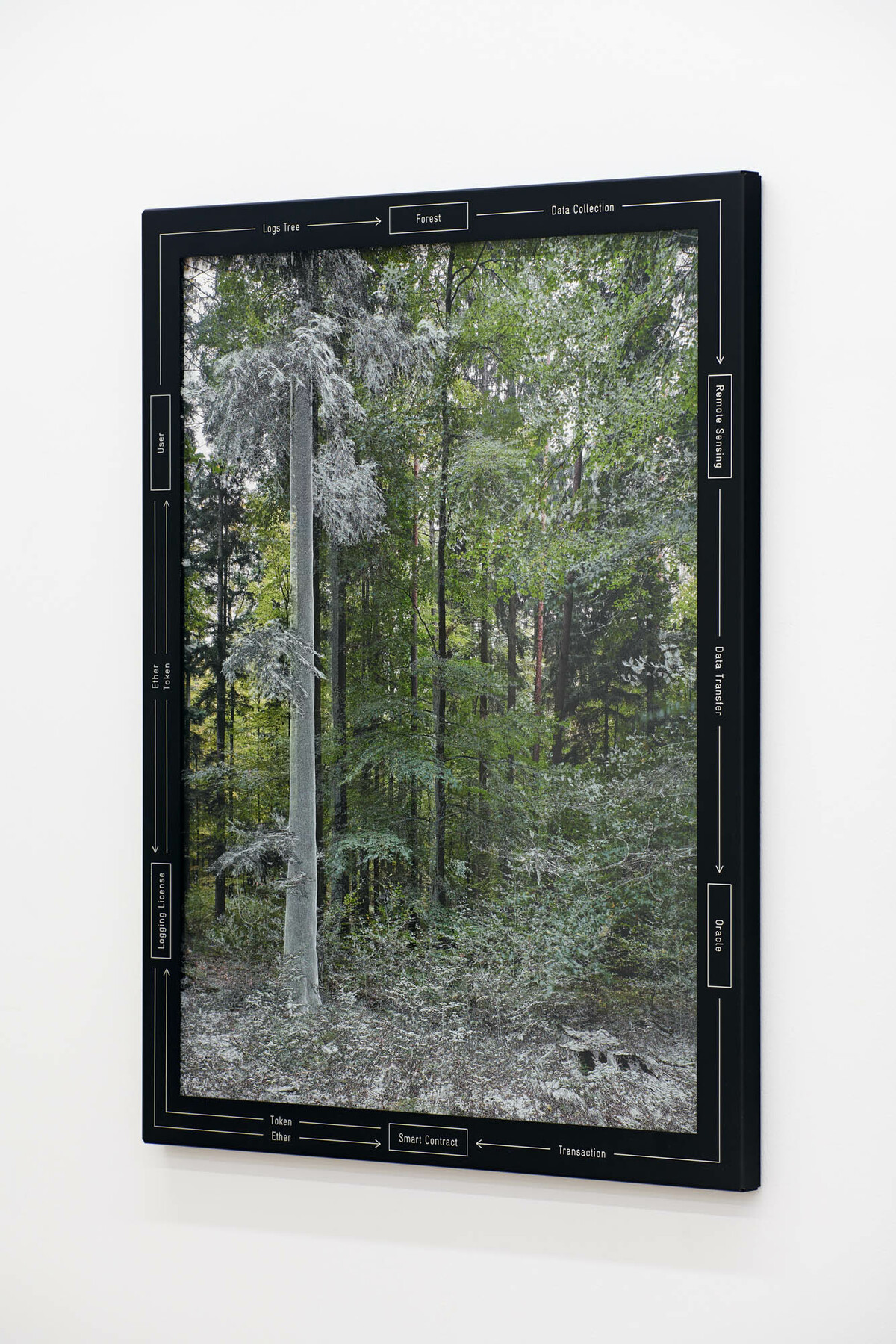 terra0 morphology panel 01-03 in Survival of the Fittest at Kunstpalais Erlangen (2020)