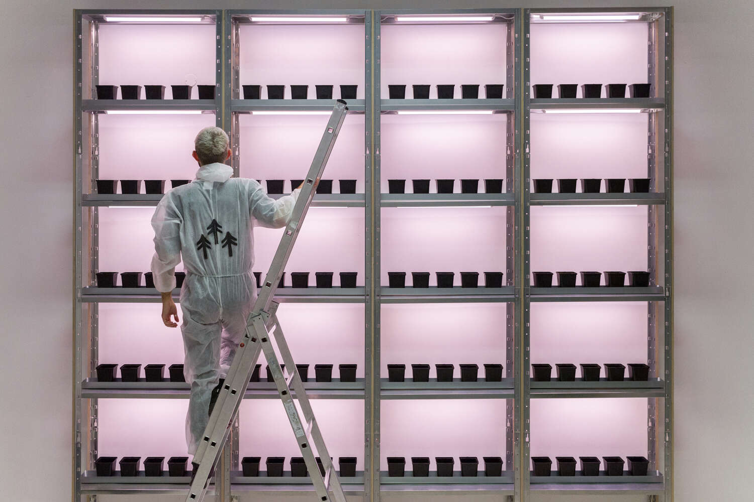 Flowertokens at Trust, www.trust.support (2018)