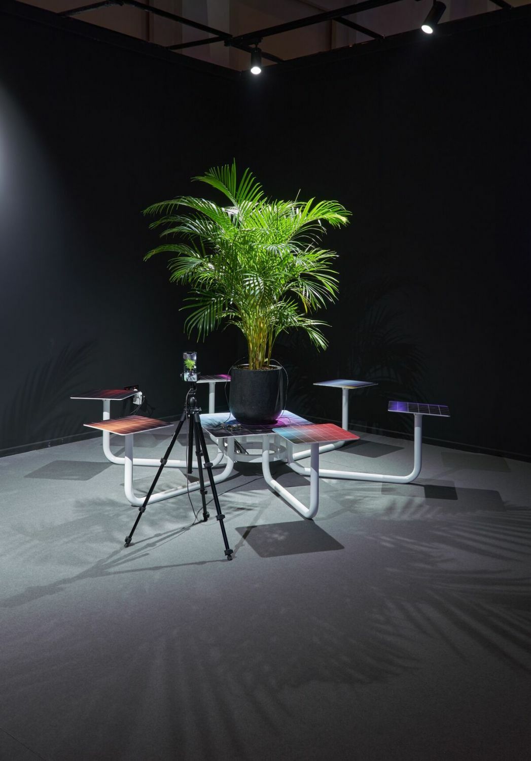 Seed Capital comissioned by Fingerprints DAO at Art Dubai (2022)
