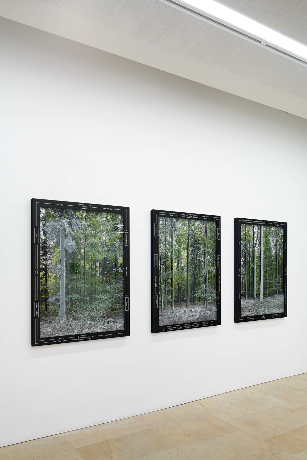 terra0 morphology panel 01-03 in Survival of the Fittest at Kunstpalais Erlangen (2020)