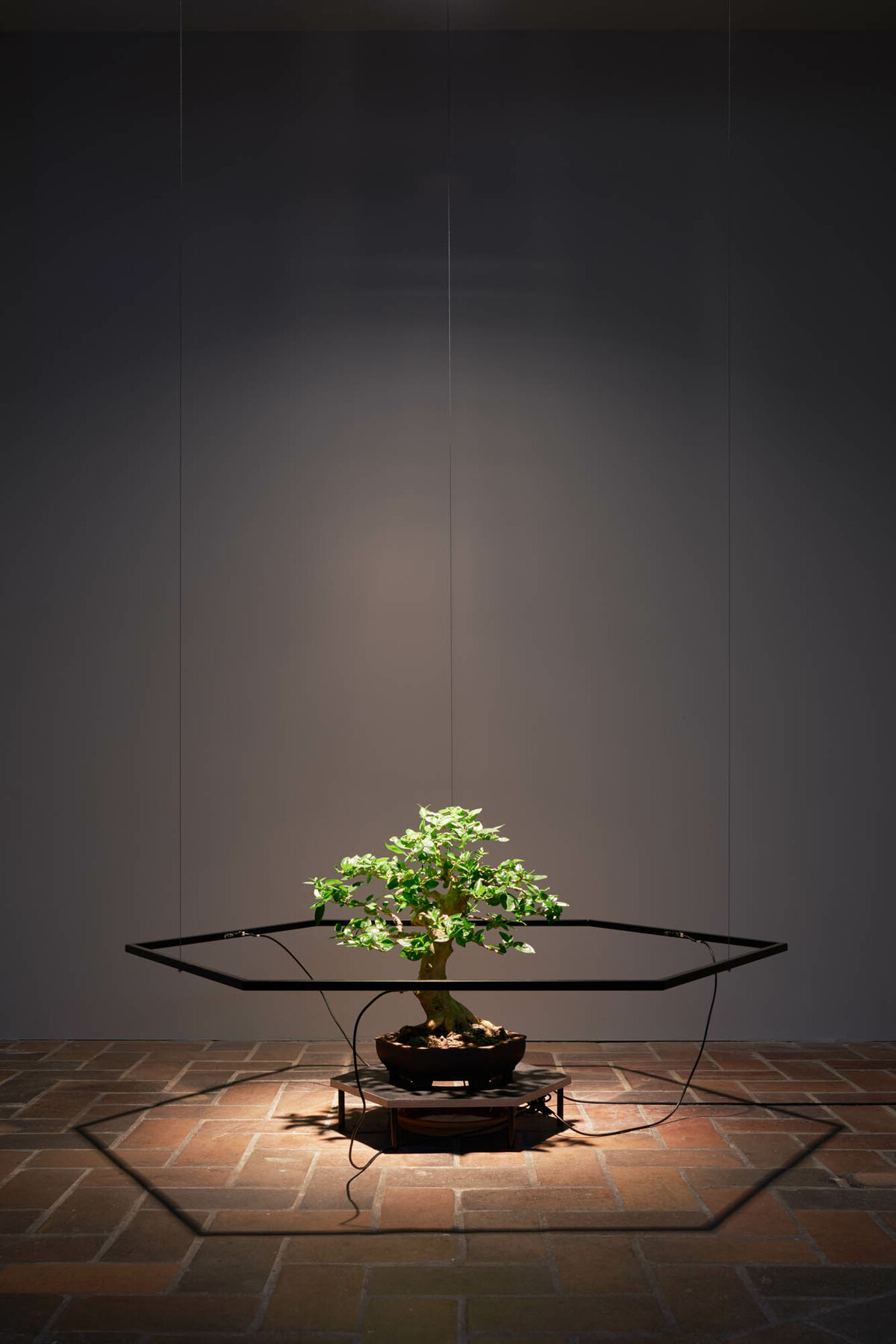 Premna Daemon in Proof of Work at Schinkel Pavillon Berlin (2018)
