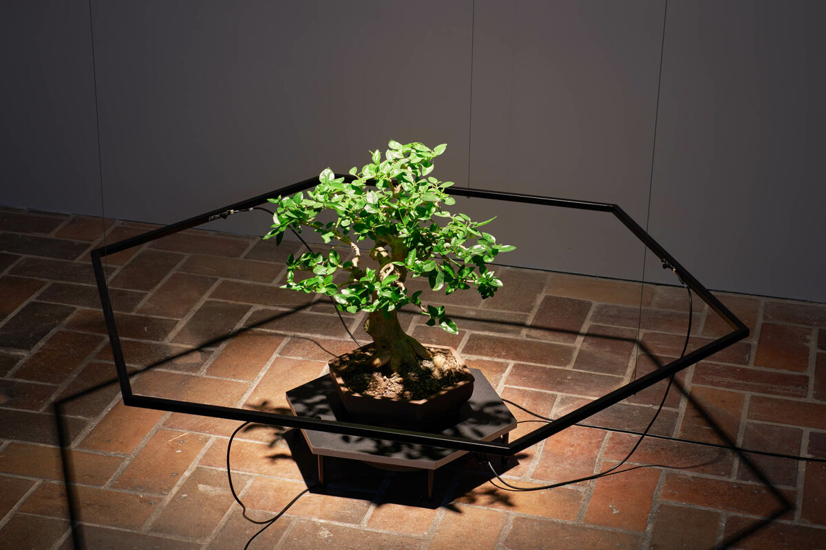 Premna Daemon in Proof of Work at Schinkel Pavillon Berlin (2018)