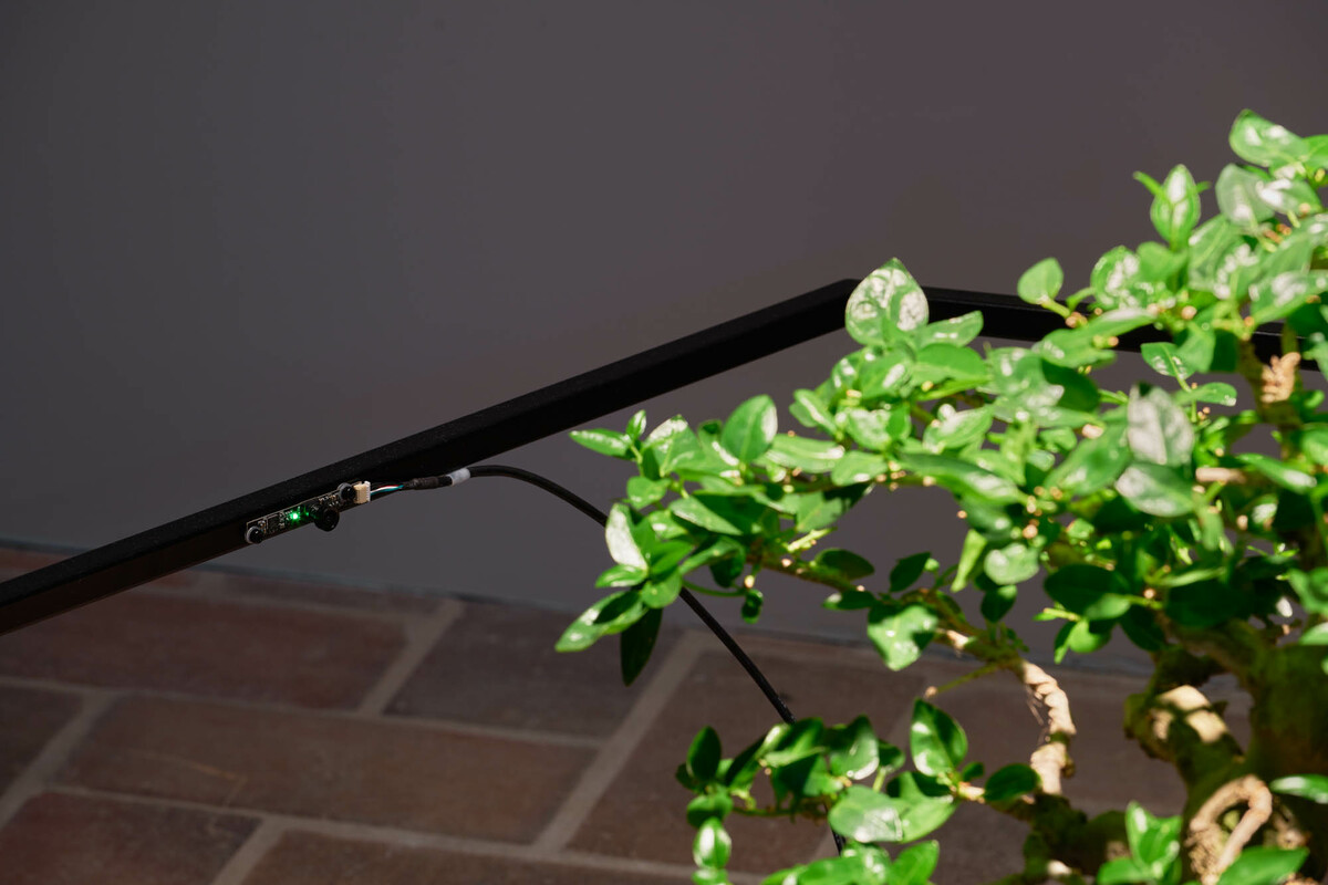 Premna Daemon in Proof of Work at Schinkel Pavillon Berlin (2018)