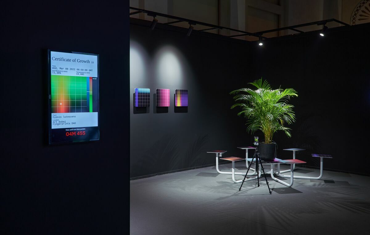 Seed Capital comissioned by Fingerprints DAO at Art Dubai (2022)